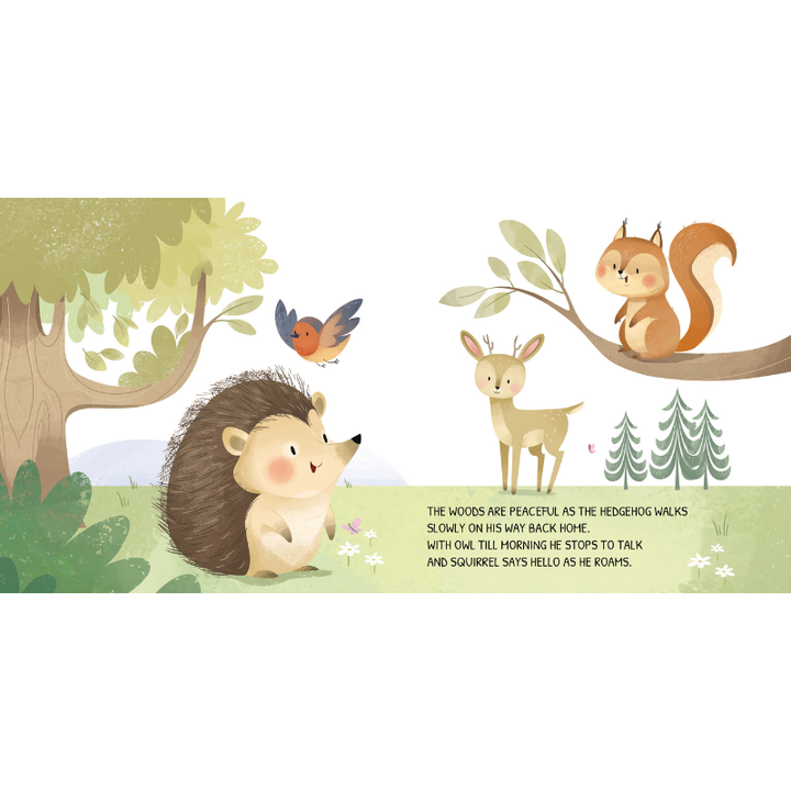 Sassi Board Book - Glow In The Dark - The Woodland