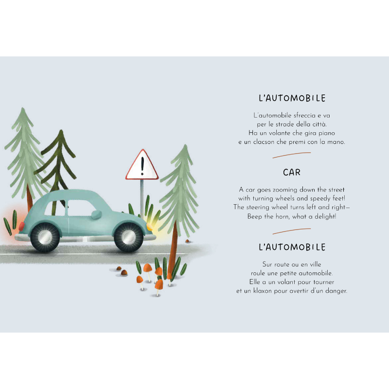Sassi Magnetic Box Set - Vehicles