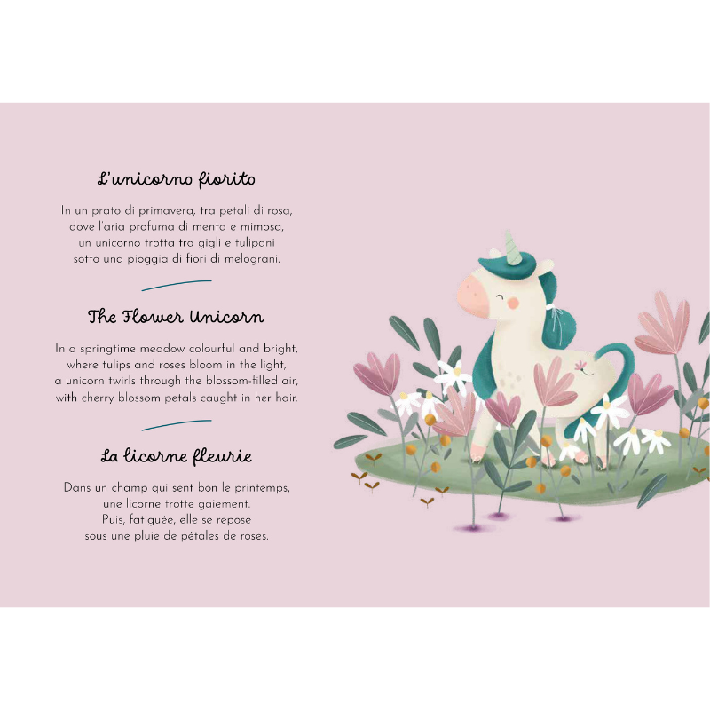 Sassi Magnetic Box Set - Unicorns