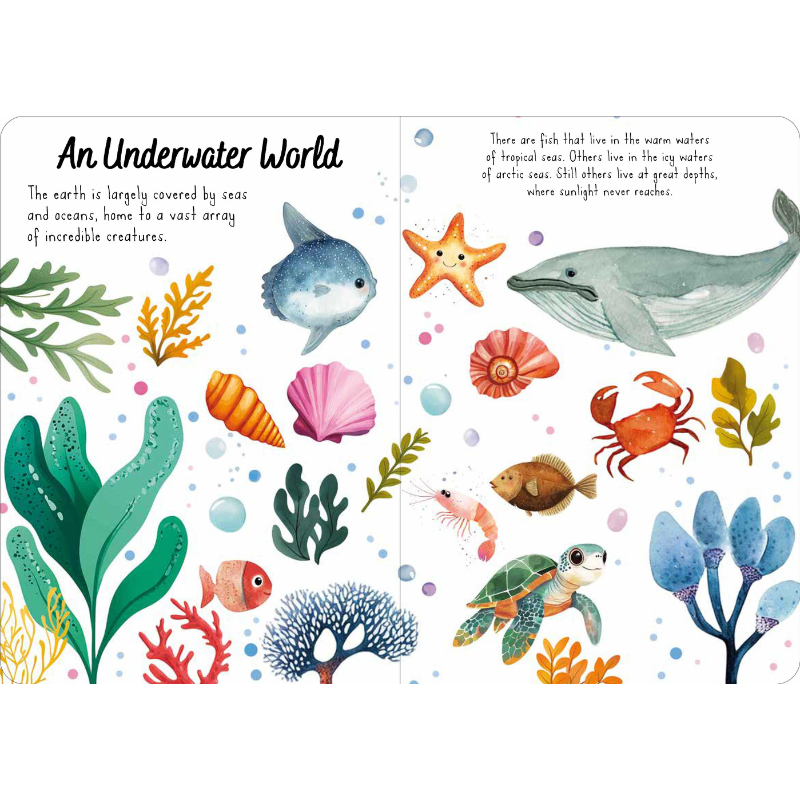 Sassi Magic Water Puzzle & Book Set - The Sea