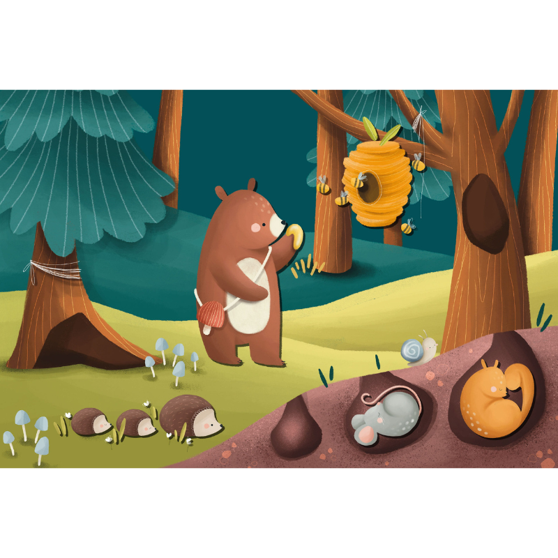 Sassi Magnetic Box Set - The Forest