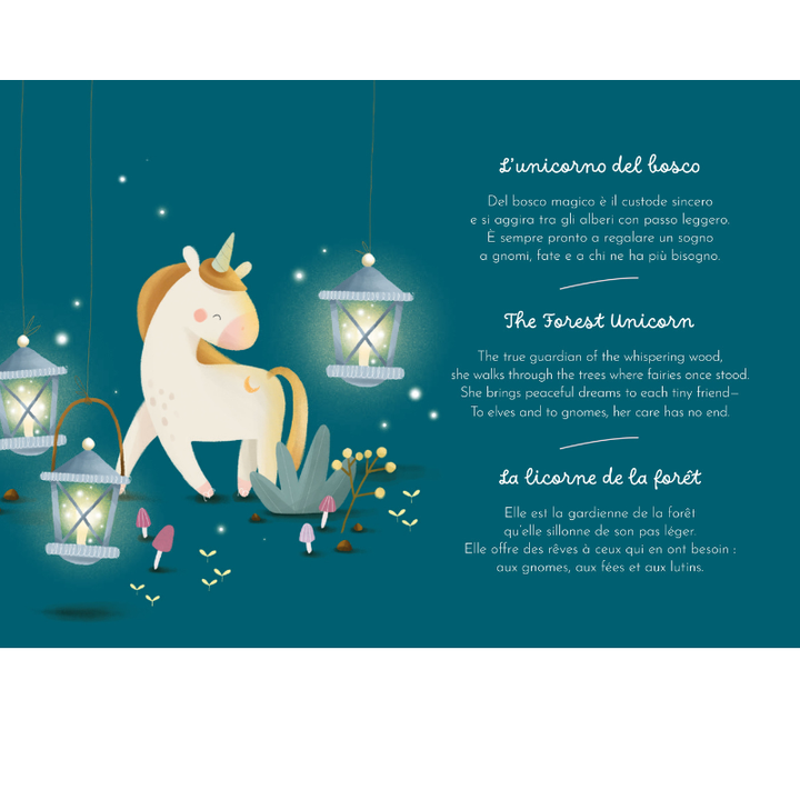 Sassi Magnetic Box Set - Unicorns
