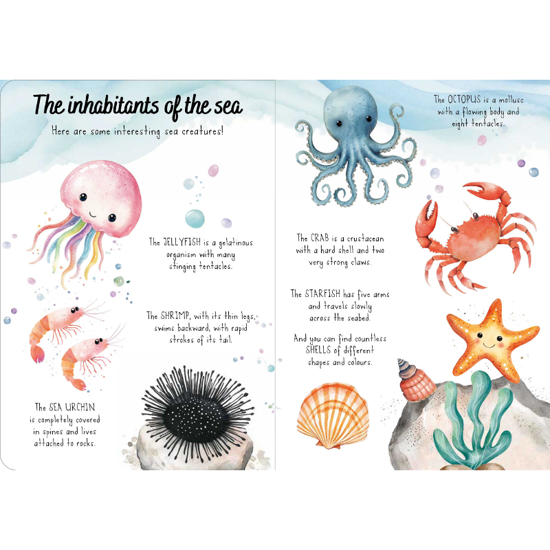 Sassi Magic Water Puzzle & Book Set - The Sea