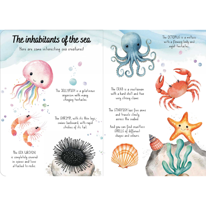 Sassi Magic Water Puzzle & Book Set - The Sea