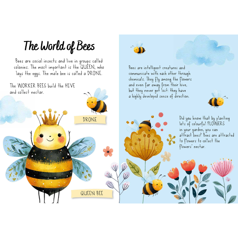 Sassi Magic Water Puzzle & Book Set - Bees