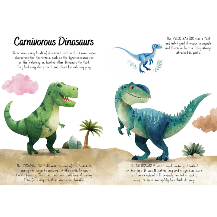 Sassi Magic Water Puzzle & Book Set - Dinosaurs
