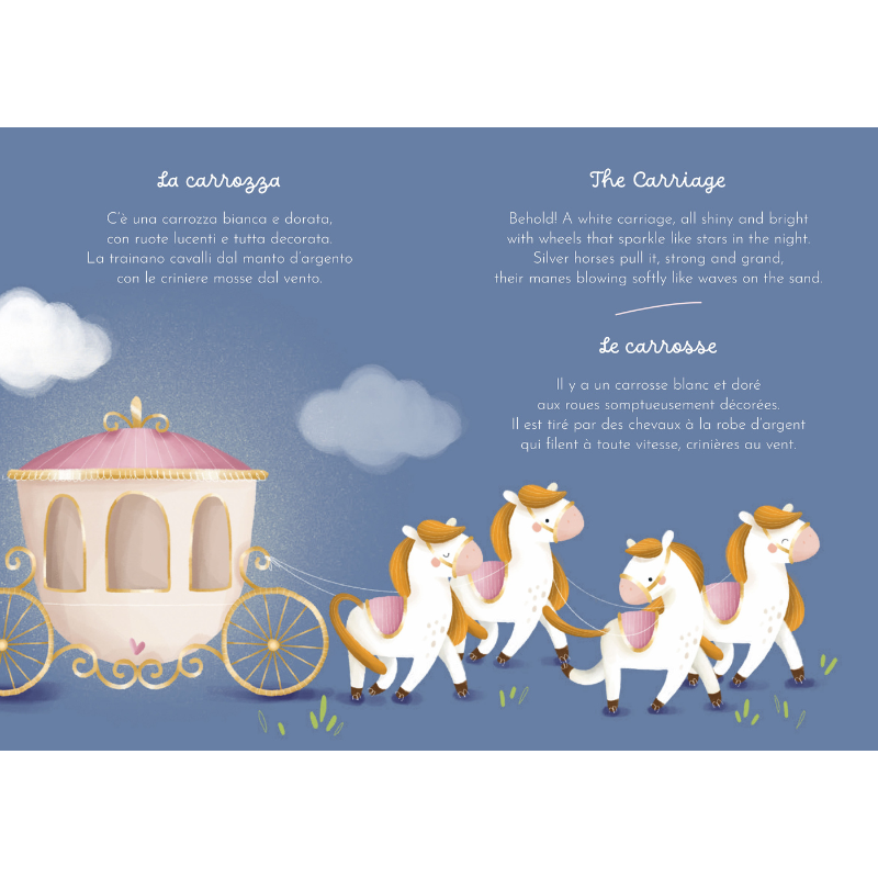 Sassi Magnetic Box Set - Princesses