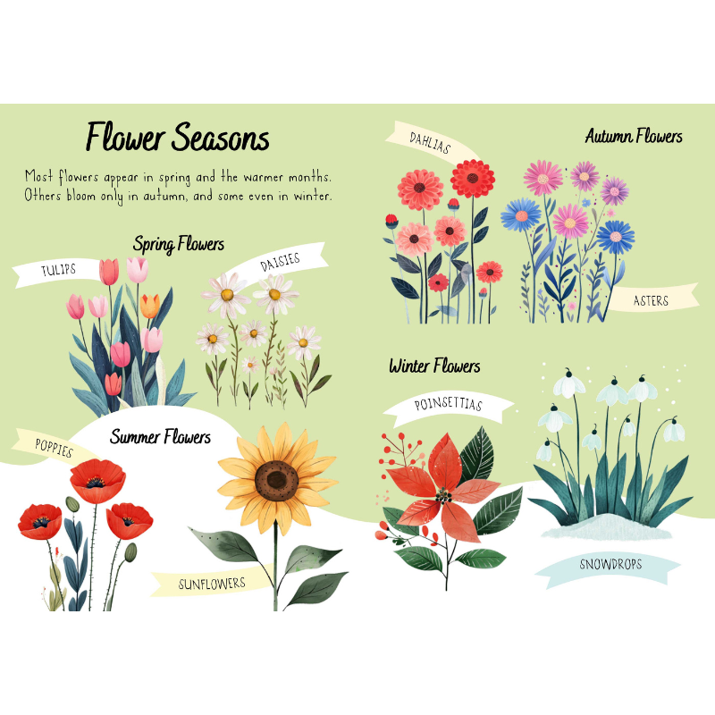 Sassi Magic Water Puzzle & Book Set - Flowers