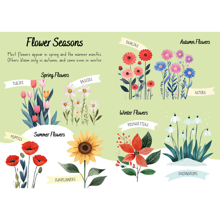 Sassi Magic Water Puzzle & Book Set - Flowers