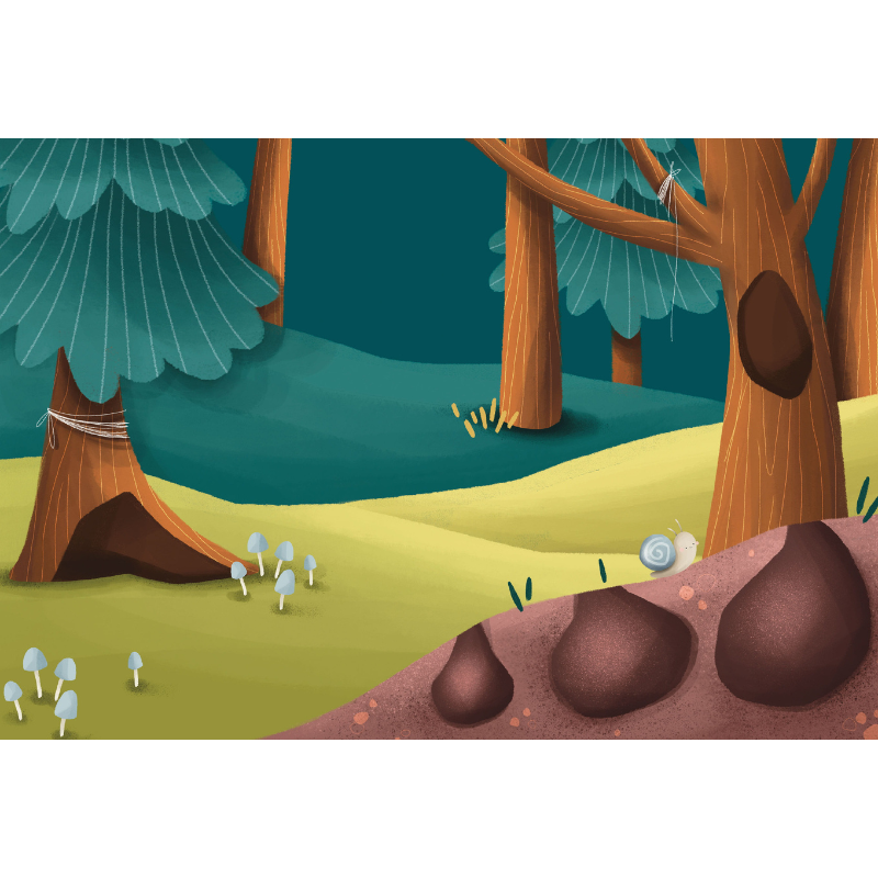 Sassi Magnetic Box Set - The Forest