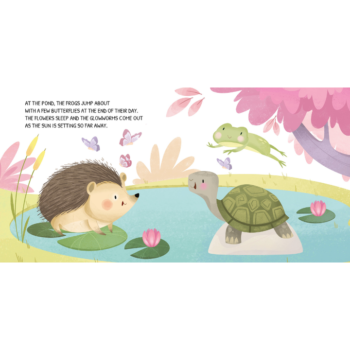 Sassi Board Book - Glow In The Dark - The Woodland