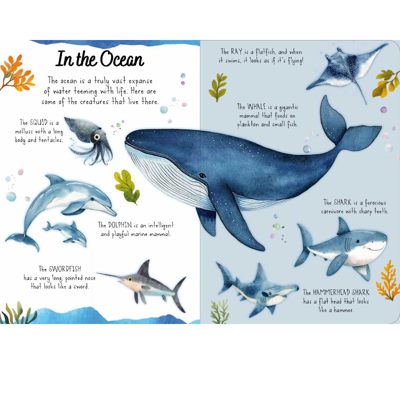 Sassi Magic Water Puzzle & Book Set - The Sea