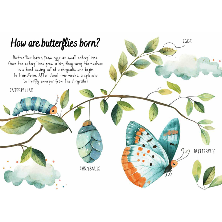 Sassi Magic Water Puzzle & Book Set - Butterflies