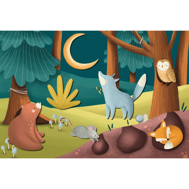 Sassi Magnetic Box Set - The Forest