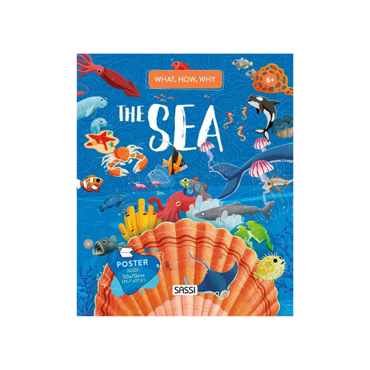Sassi What How and Why The Sea Book and Poster