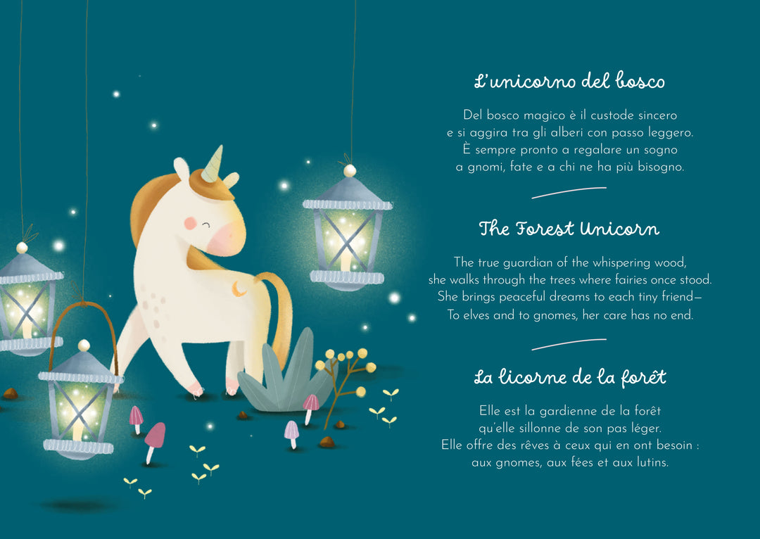 Sassi Magnetic Box Set - Unicorns