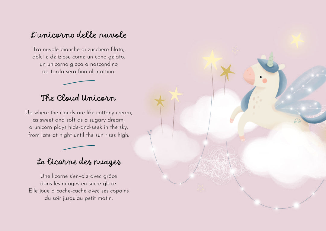 Sassi Magnetic Box Set - Unicorns