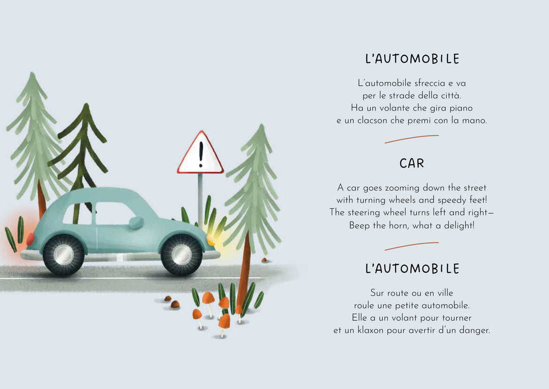 Sassi Magnetic Box Set - Vehicles