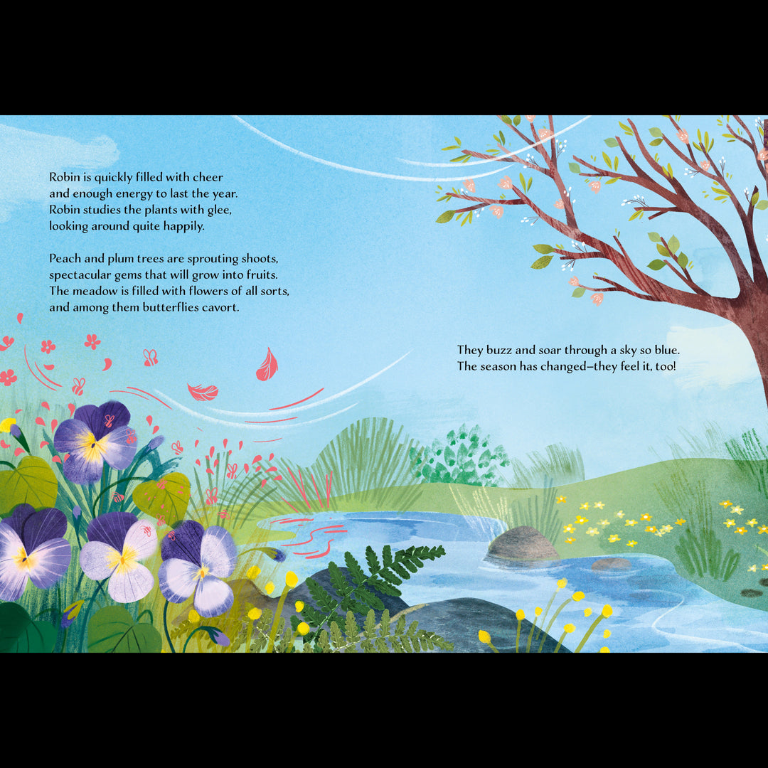 Sassi Story Book - Spring