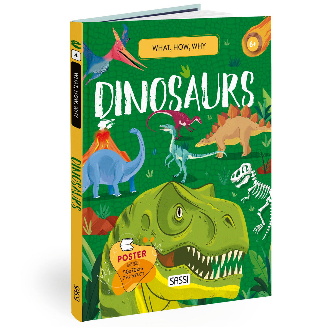 Sassi What How and Why Dinosaurs Book and Poster