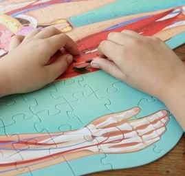 Sassi Travel, Learn and Explore The Human Body 200 pc Puzzle (2024 Version)