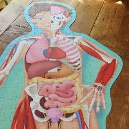 Sassi Travel, Learn and Explore The Human Body 200 pc Puzzle (2024 Version)