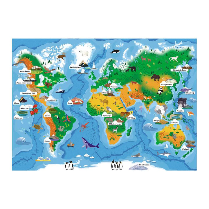 Sassi What How and Why Volcanoes Book and Poster