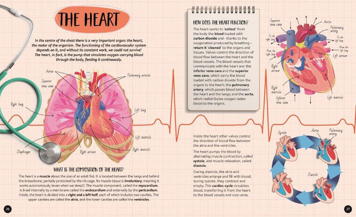 Sassi What How and Why The Human Body Book and Poster