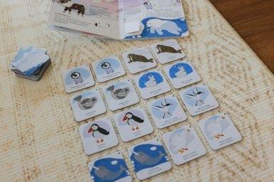 Sassi Games - Memory Matching - Animals to Save - Polar Ice