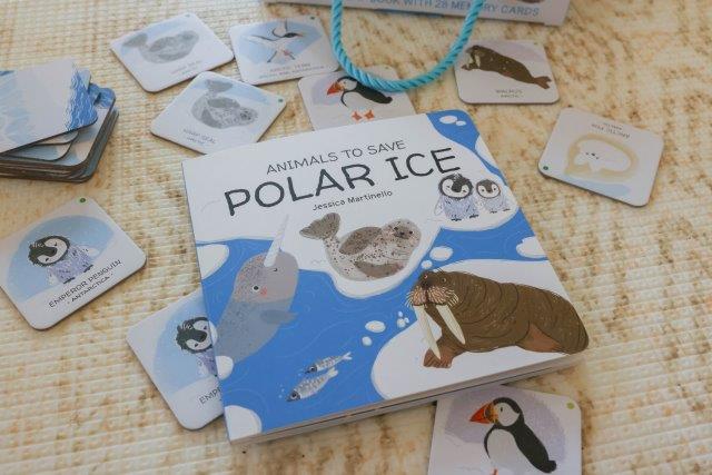 Sassi Games - Memory Matching - Animals to Save - Polar Ice