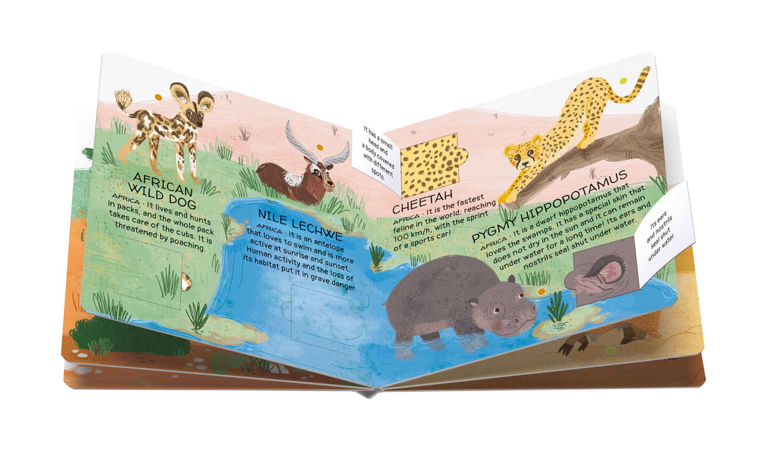 Sassi Games - Memory Matching - Animals to Save - Deserts and Savannahs