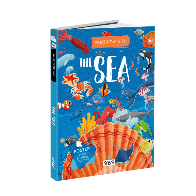 Sassi What How and Why Collection Pack - 20 pcs