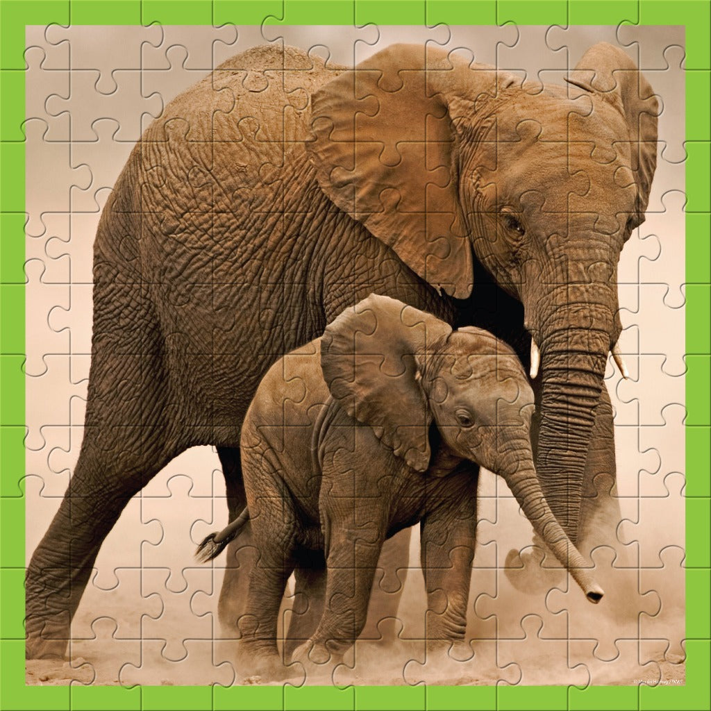 WWF Puzzle - Elephants, 100 pcs