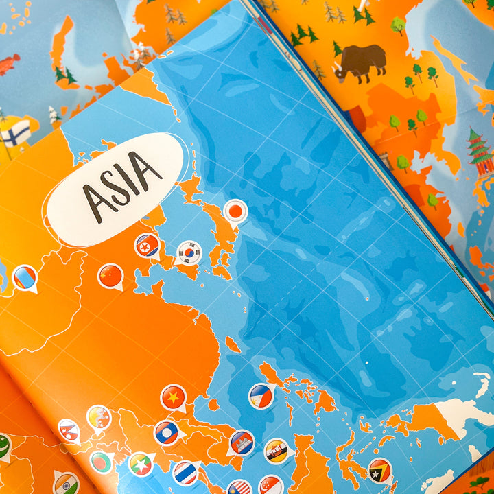 Sassi What How and Why Flags Book and Poster