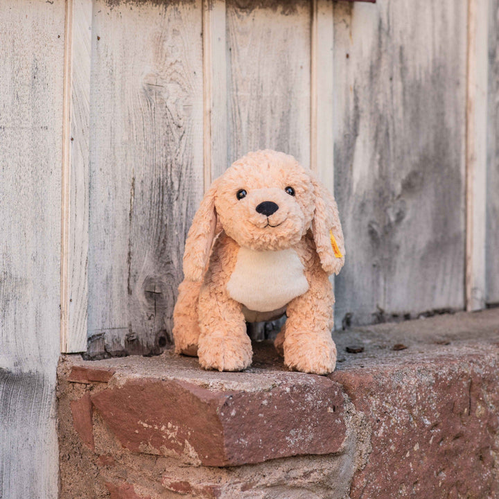 Steiff Soft Cuddly Friends - Berno Golden Doodle, 36 cm
