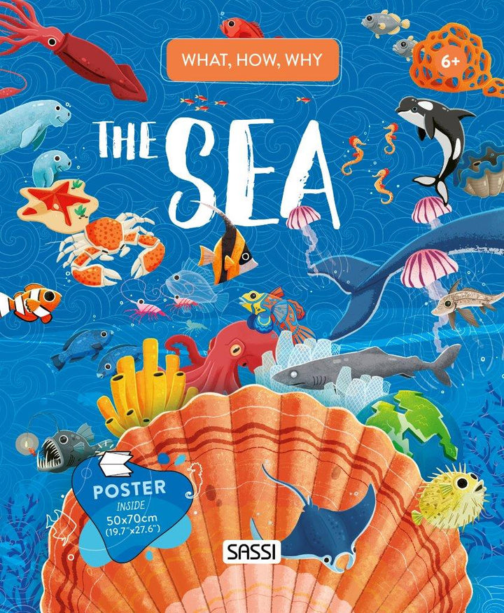 Sassi What How and Why The Sea Book and Poster